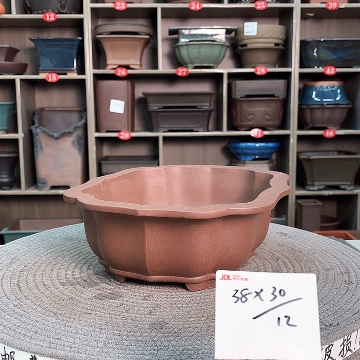 紫砂花盆游*纪紫砂的花也太