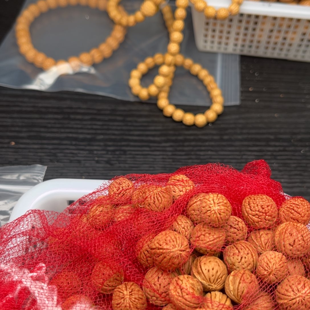 红***段木质类散籽批发60米