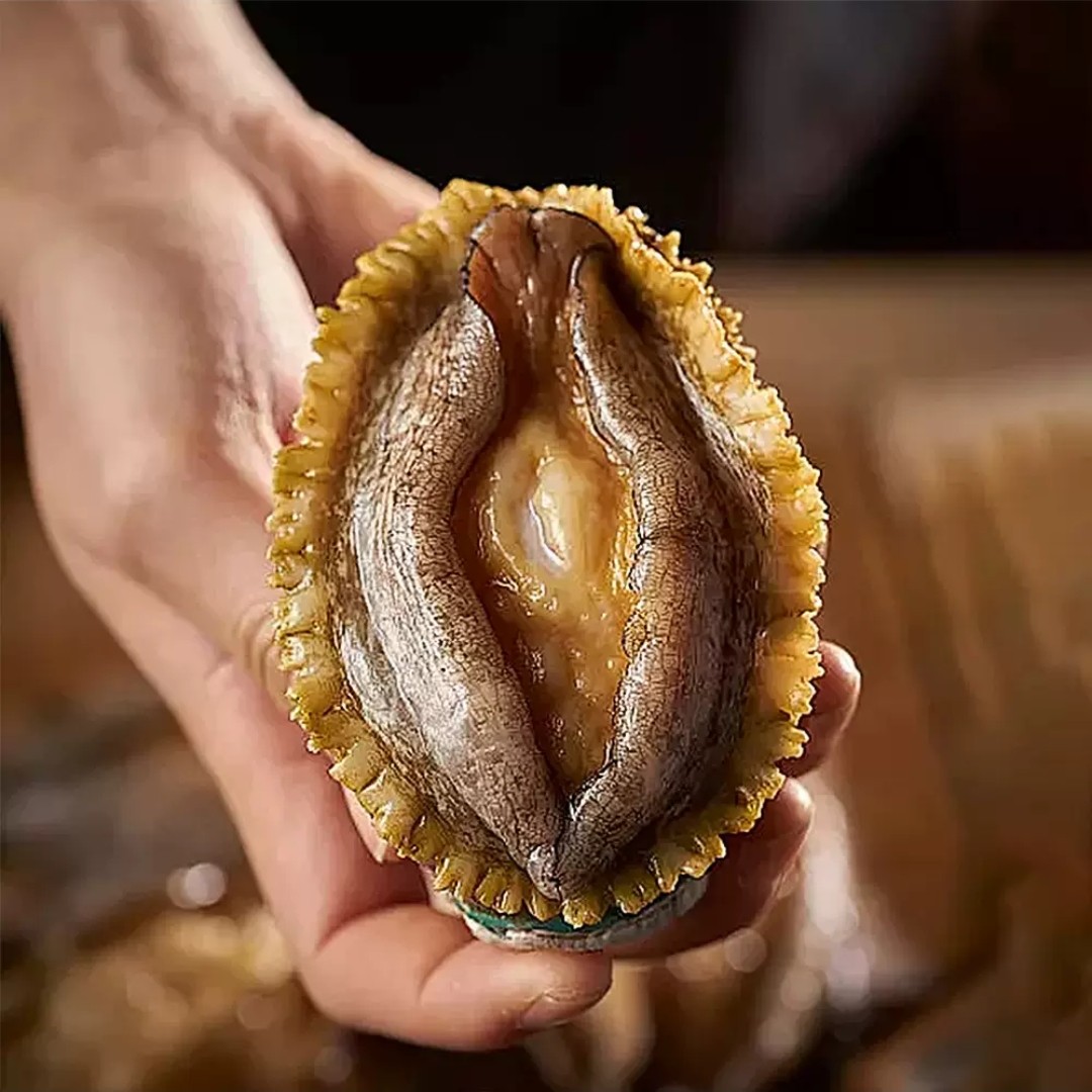 鲜活鲍鱼3-4头规格（3-4个/斤）