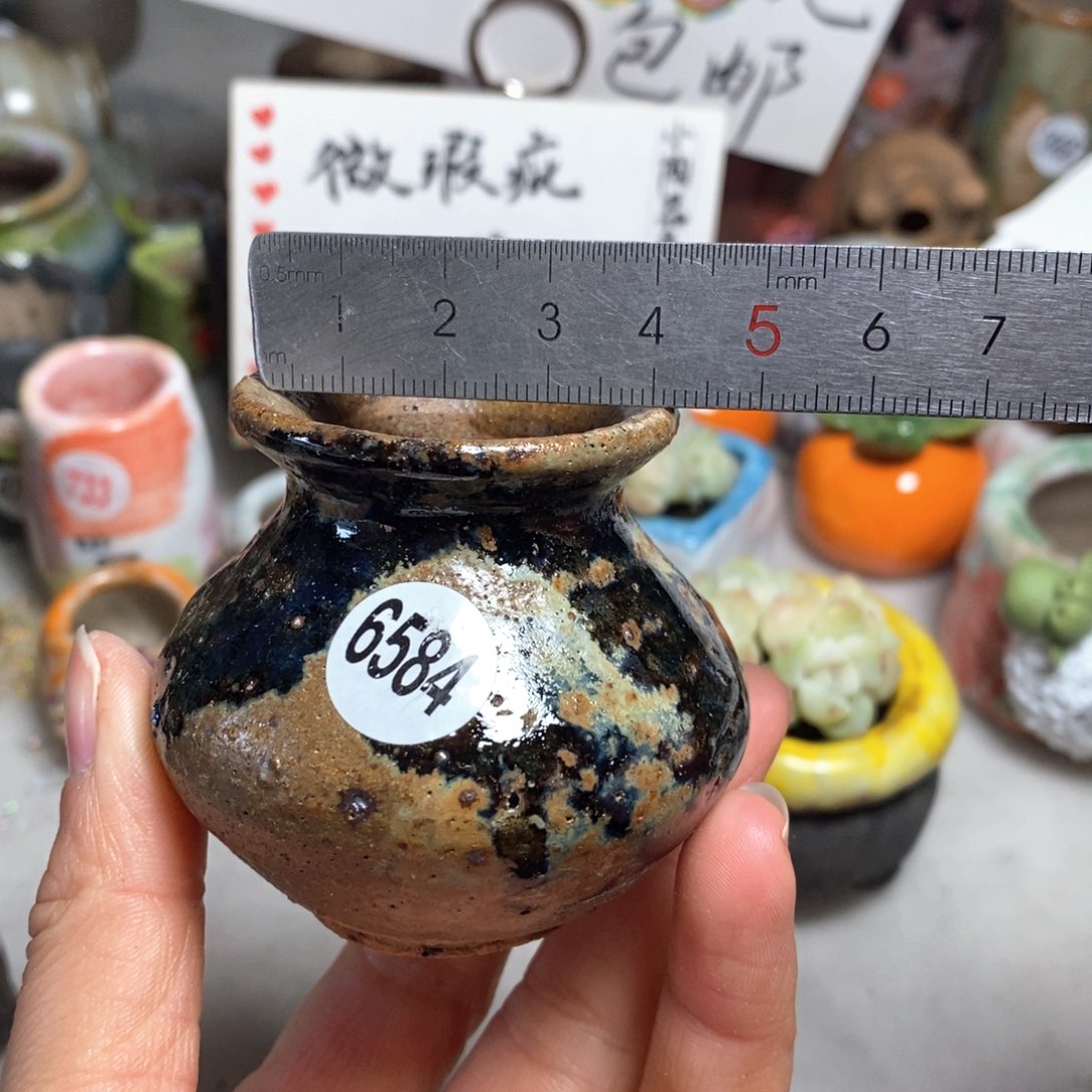 拍5送一个小礼物＇花盆