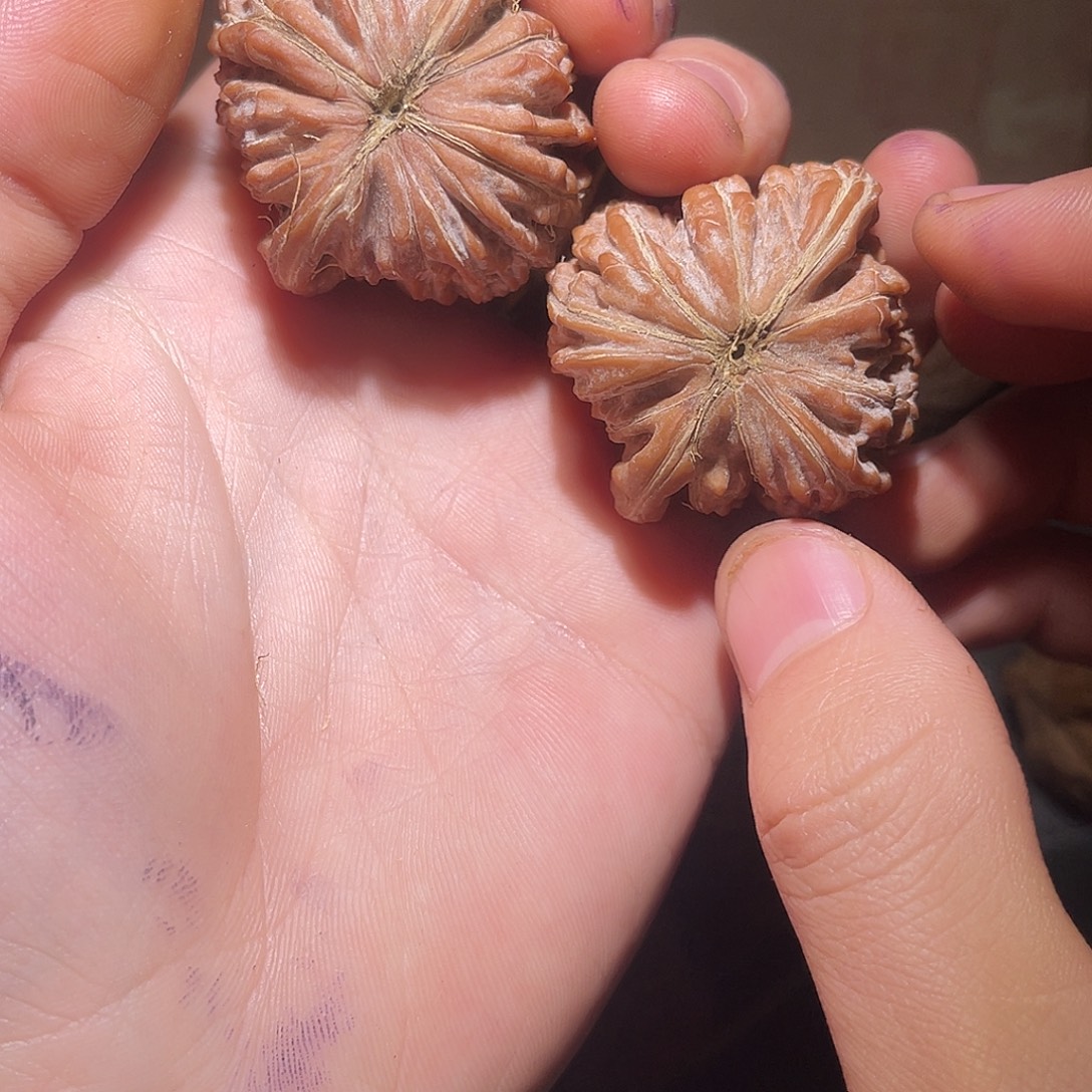 好***滴文玩核桃吊坠平谷楼0000146