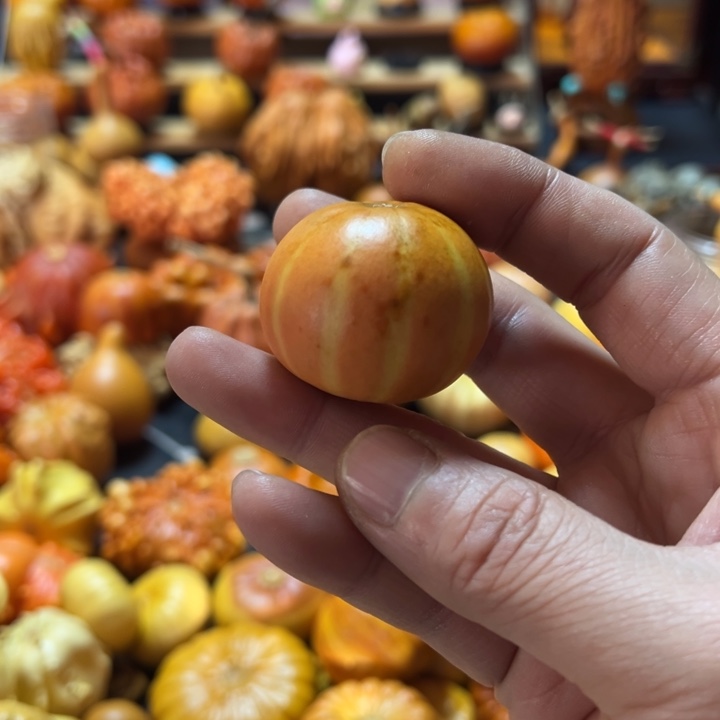 西瓜球瑕疵款不退不换