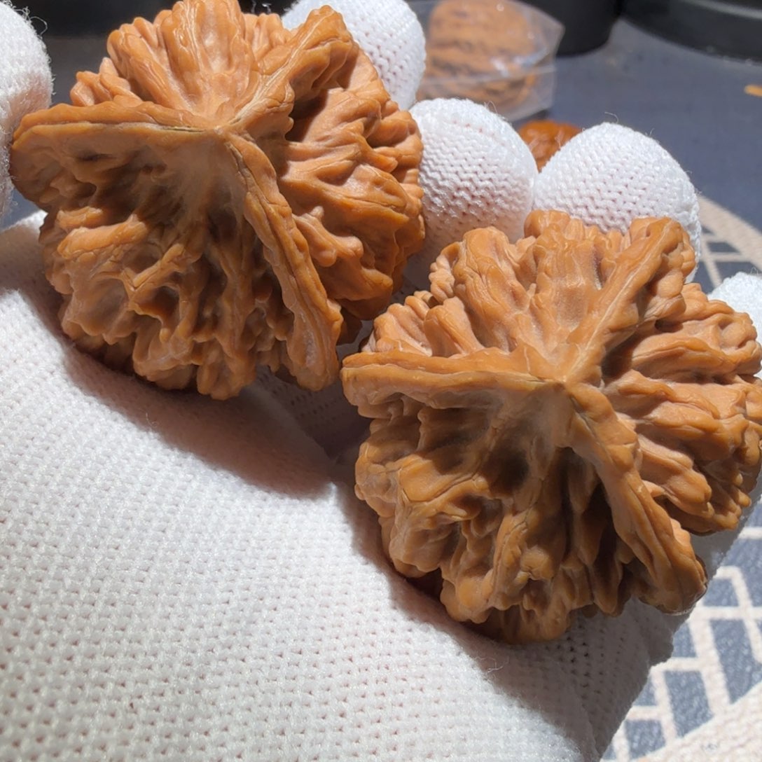 文玩核桃把件帝王奔