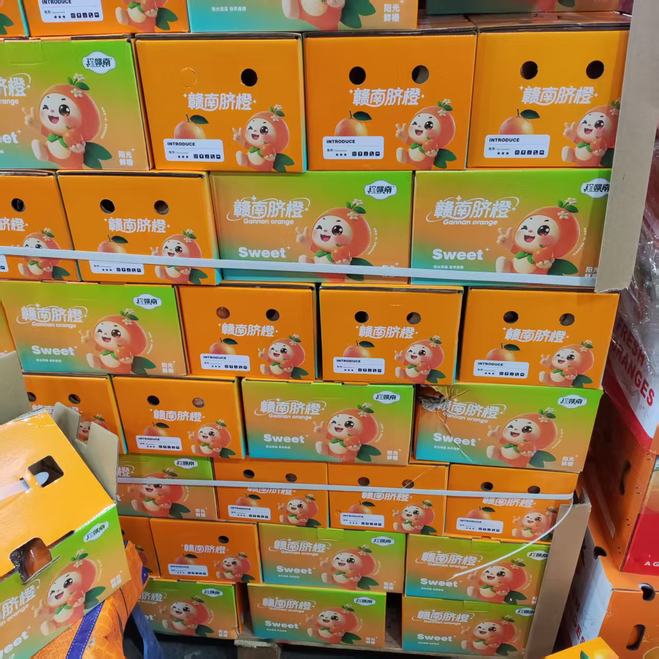 赣南脐橙一箱5斤沈阳发货