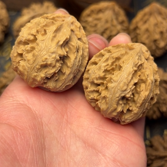 文玩核桃把件秦岭核桃9
