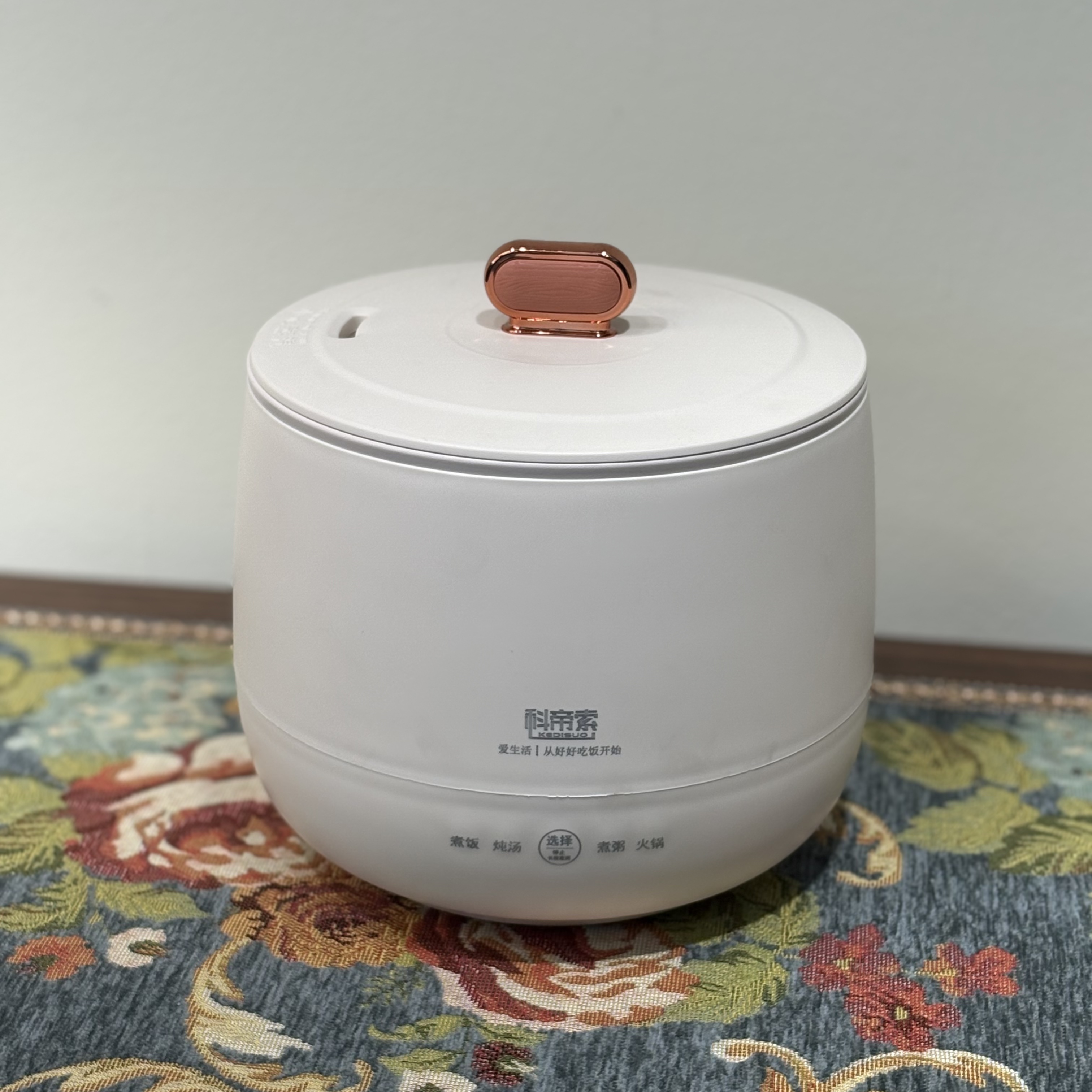 （燕子宠粉福利）焖饭蒸煮电煮锅煮饭保温