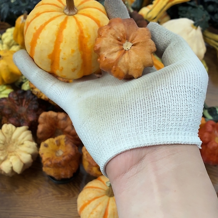 晚***初墨西哥文玩葫芦一个