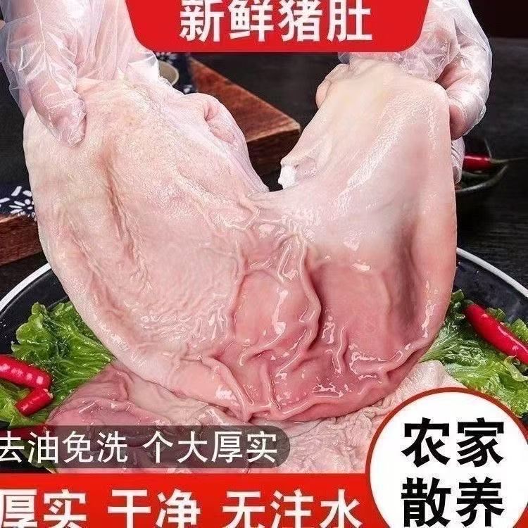 【拍2个送1个到手3个鲜农家土猪肚】只卖大猪肚今天拍明天到顺丰包邮