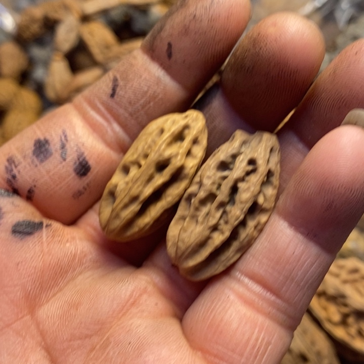 文玩核桃吊坠东北特产118