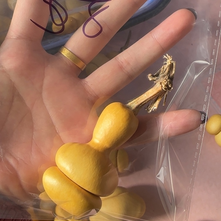百***u葫芦手把件葫芦葫芦