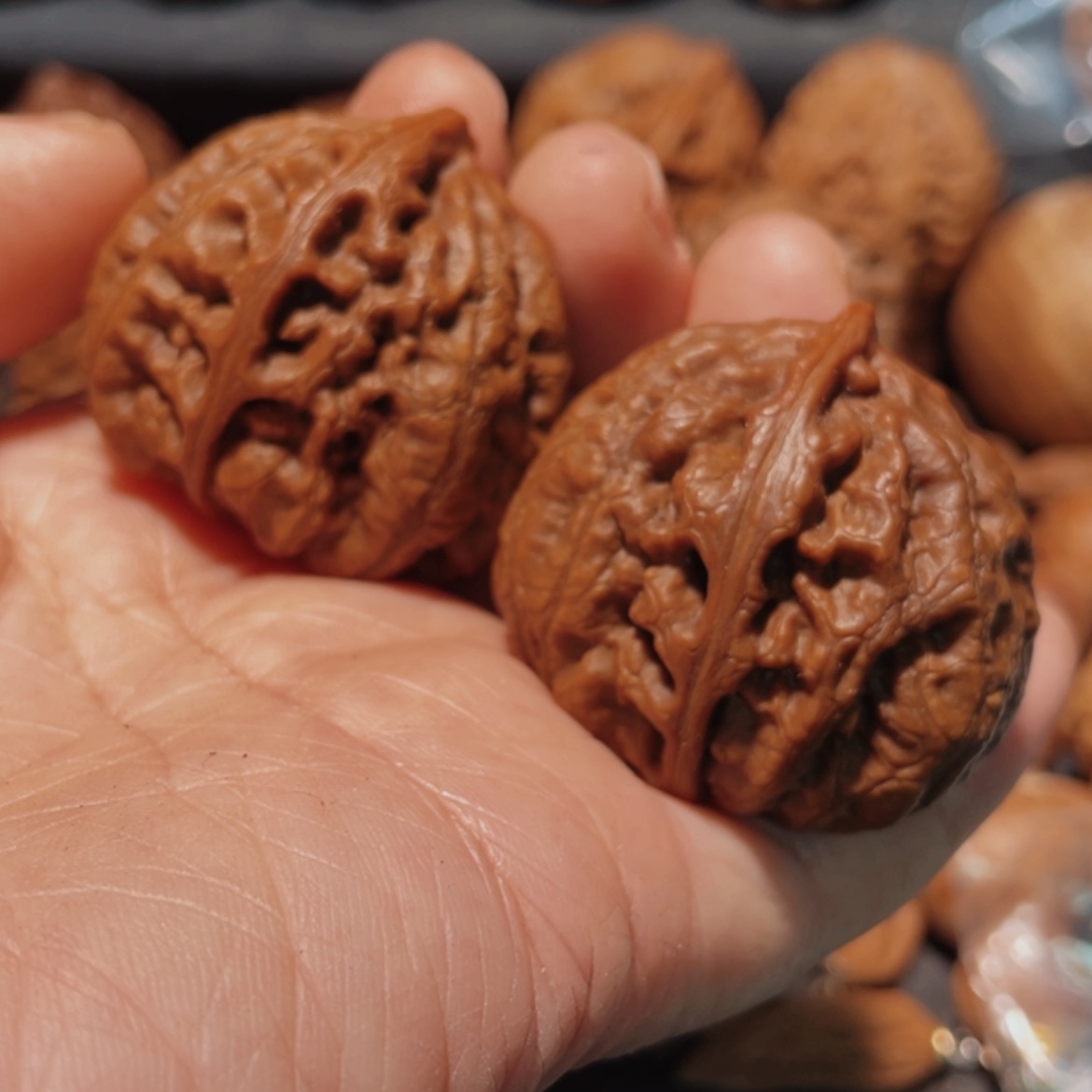 【闪购商品】把件文玩核桃东北楸子5