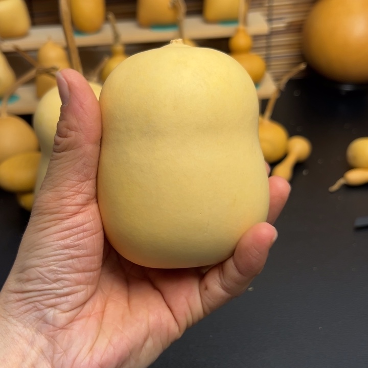 ?*北葫芦葫芦葫芦葫芦葫芦葫芦