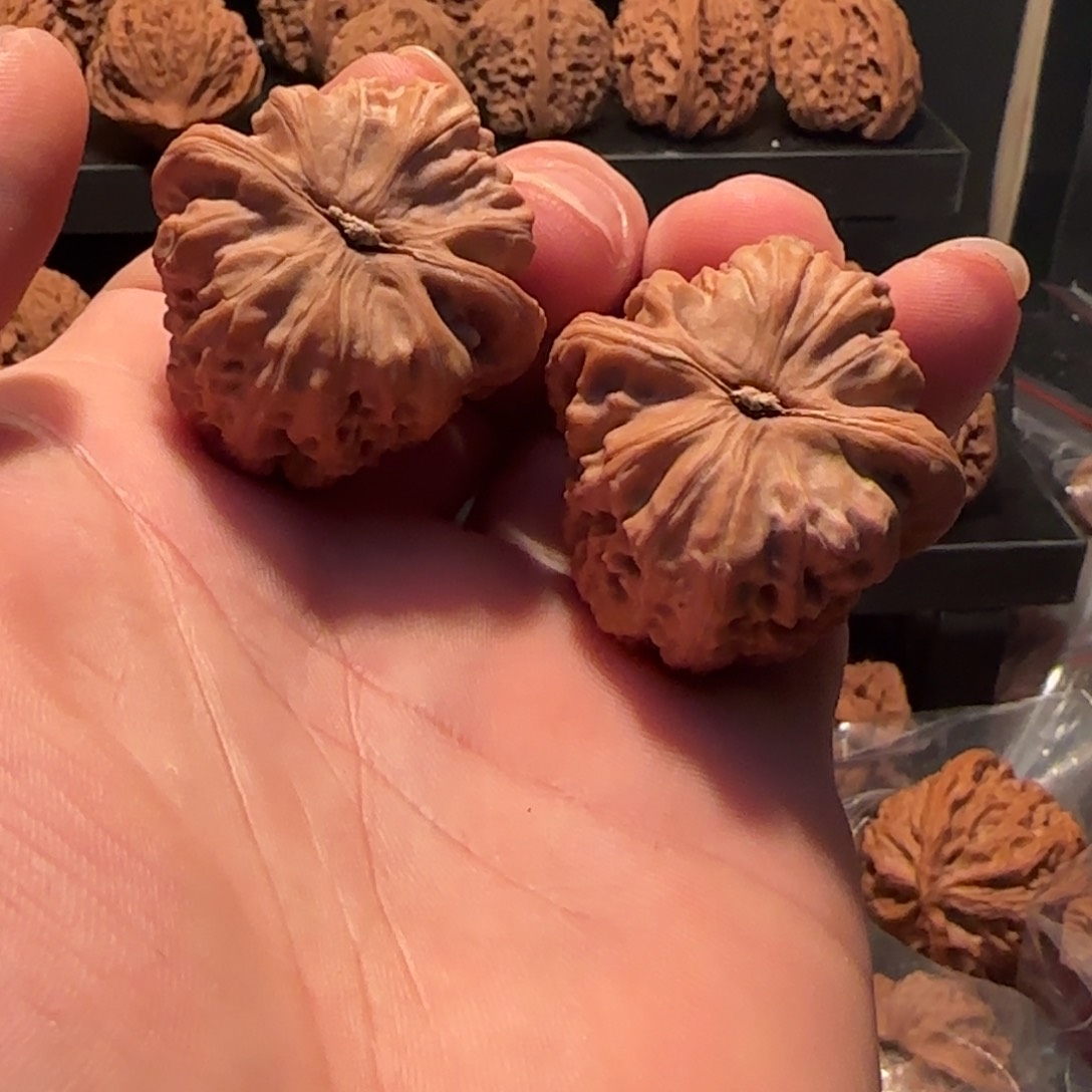 桃核把件?****⁵白狮子头37