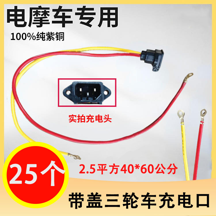 【25个】带盖三轮车充电口 2.5平方40*60公分 纯紫铜 电摩充电口