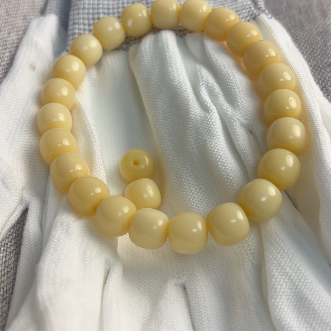 骆驼牙手串/手链骆驼牙