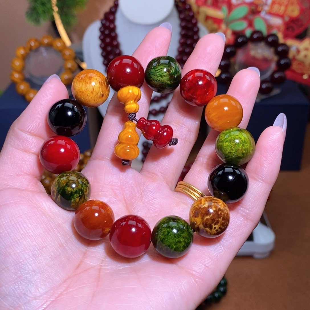 贝壳杉血龙木1.5多宝