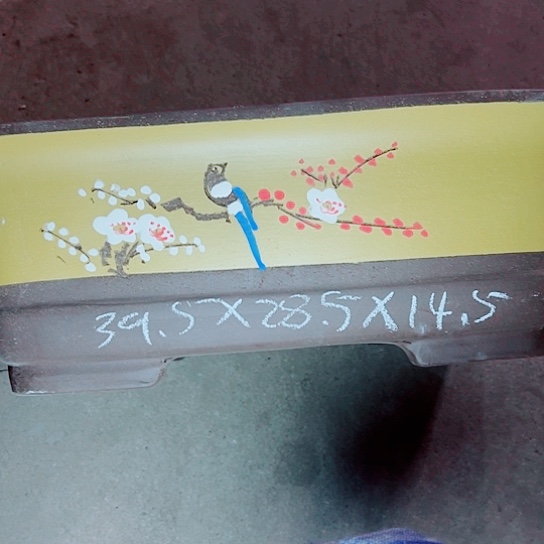 红陶紫砂紫砂紫砂