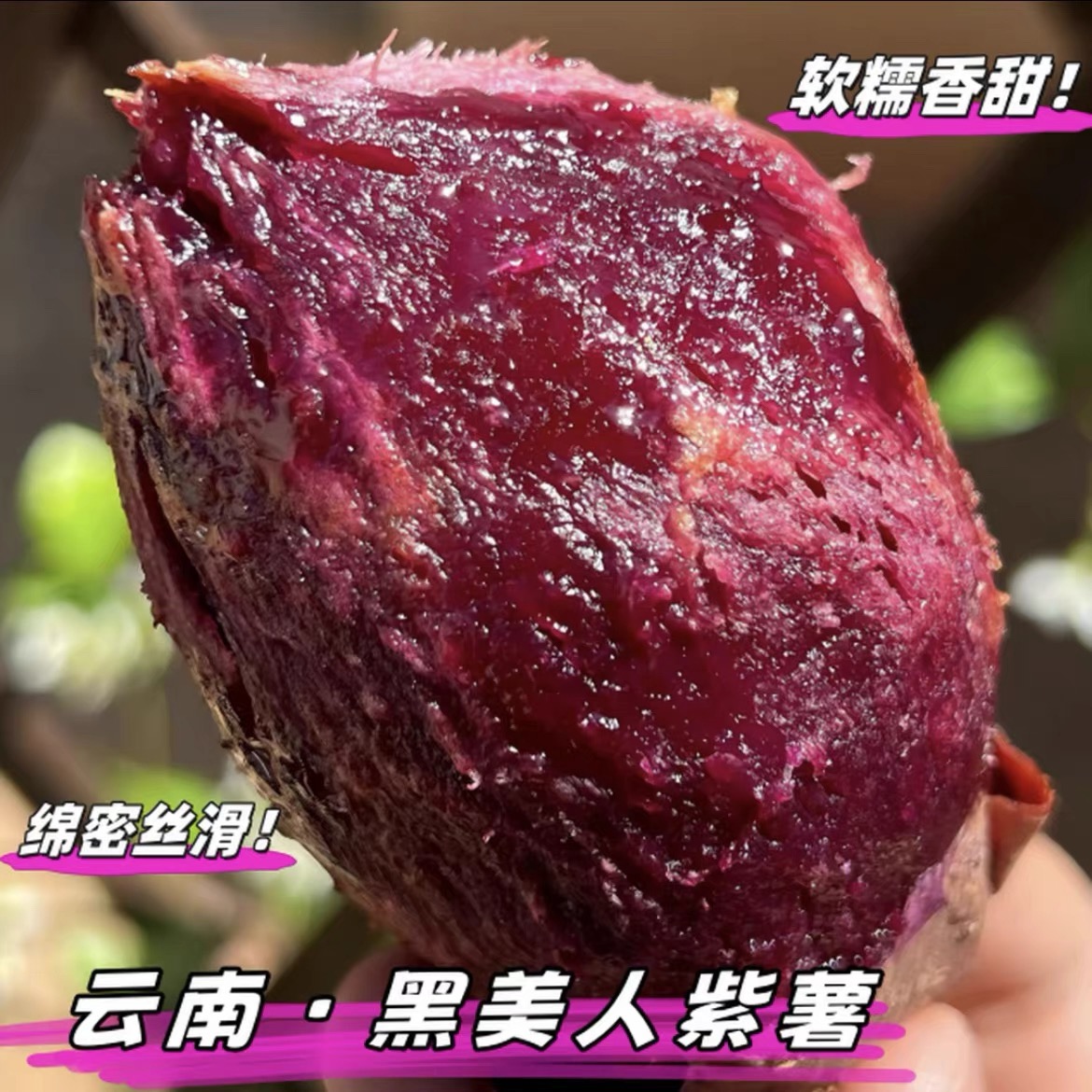 云南高山黑美人紫薯糖心流油流蜜软糯香甜粗粮代餐