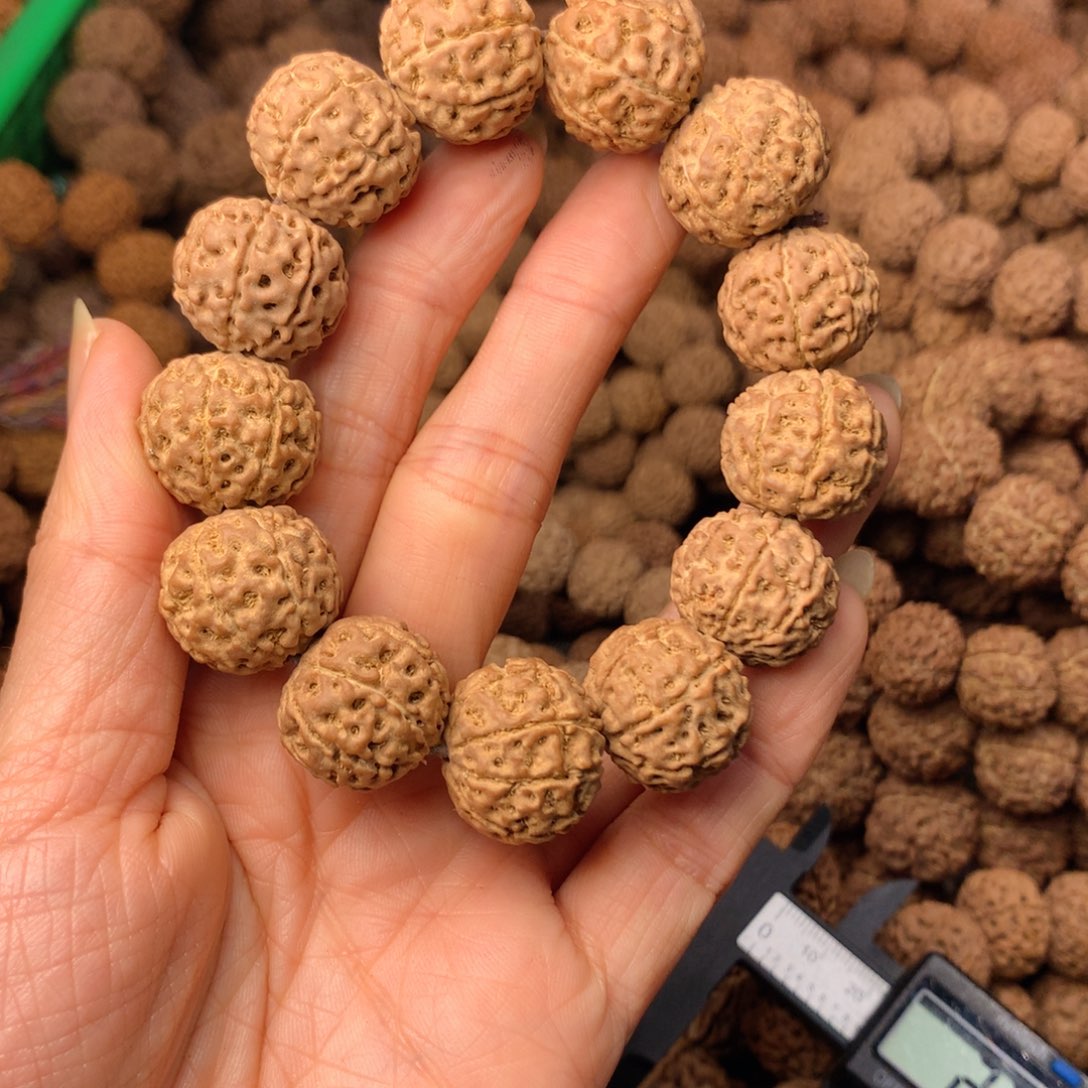 木8瓣金刚卡19尺寸，65号