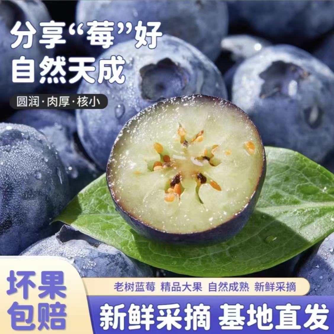 【头茬香甜果】顺丰京东包邮新鲜精品薄皮蓝莓果园基地现摘现发