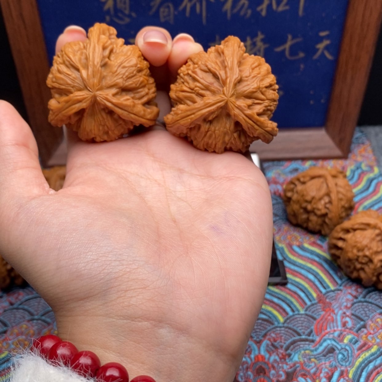 【闪购商品】长****闭白狮