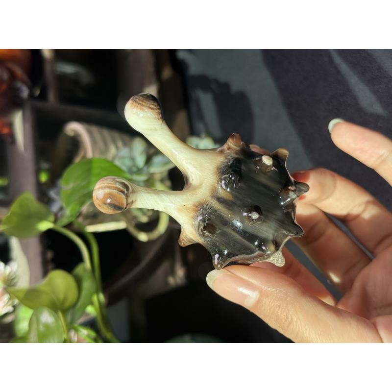 板娘专享 牦牛角海参钉钉刺球美鼻 眼部鼻部按摩-663