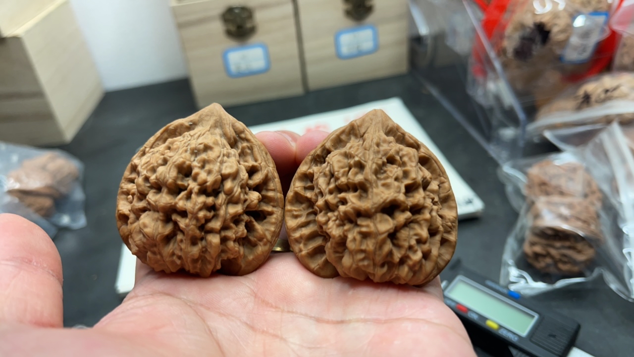 文玩核桃品种随机发货，强迫症勿拍，新疆西藏不发货。