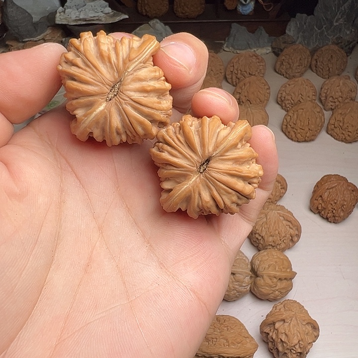 炼***.全品平谷四座楼子