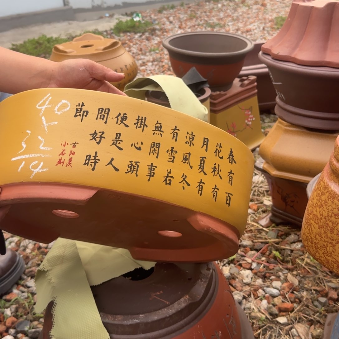 紫砂花盆紫砂花盆花盆盆景盆栽