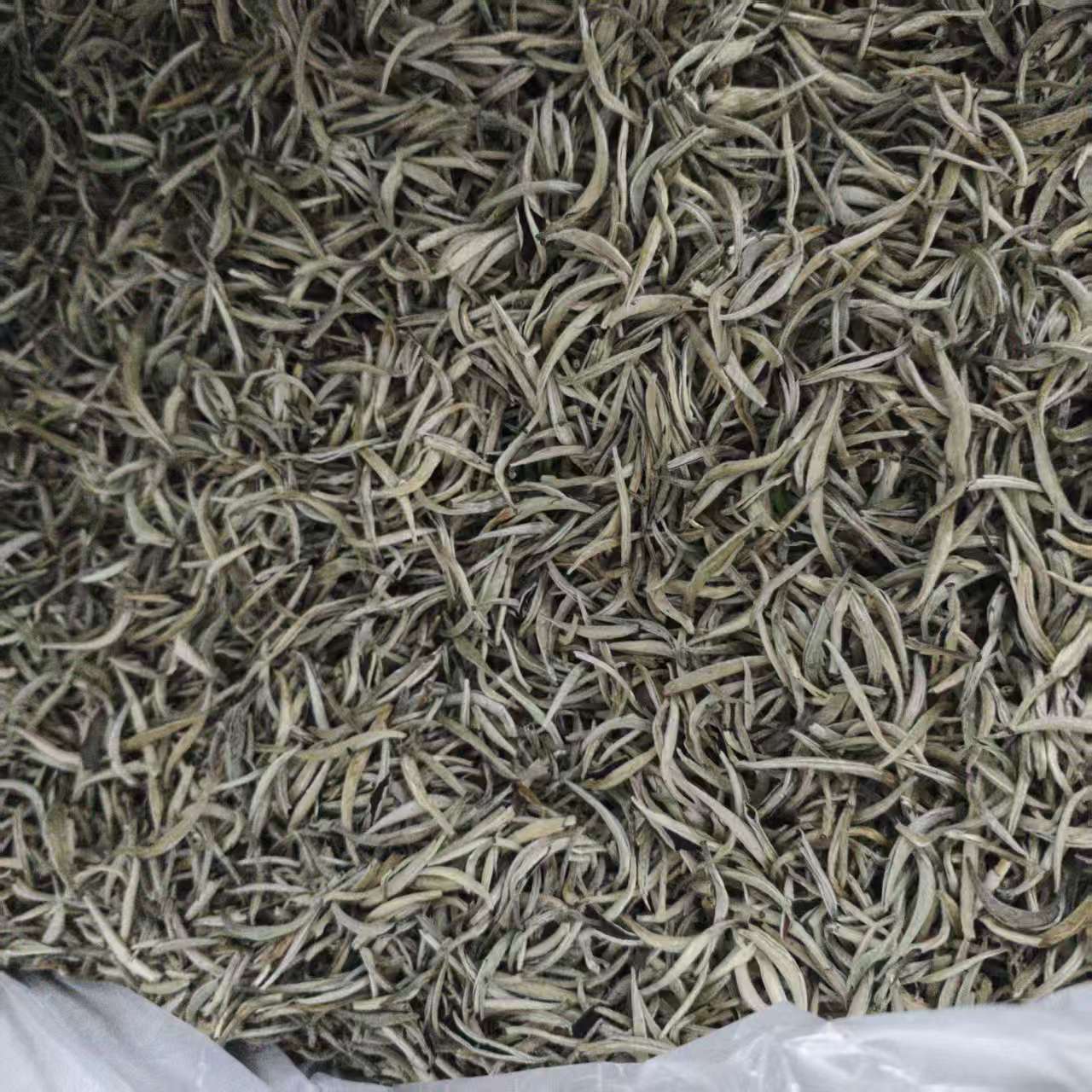 白毫银针 云南白茶 200g