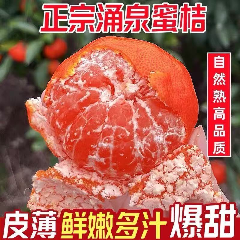 正宗浙江临海涌泉蜜桔当季新鲜现摘薄皮无核无籽孕妇水果原产地发