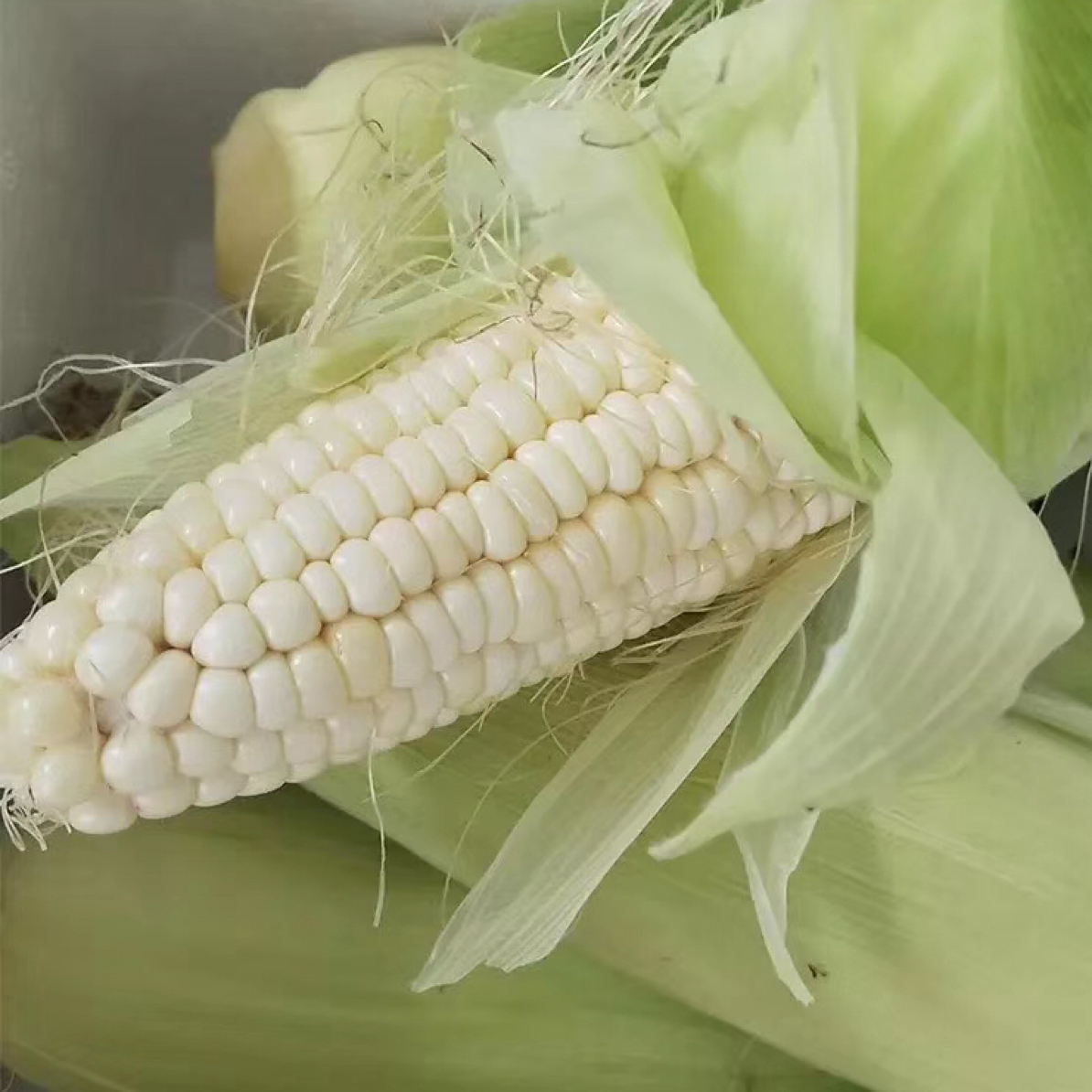 （三农妹）新鲜带壳白糯玉米现摘现发甜糯可口应季美味