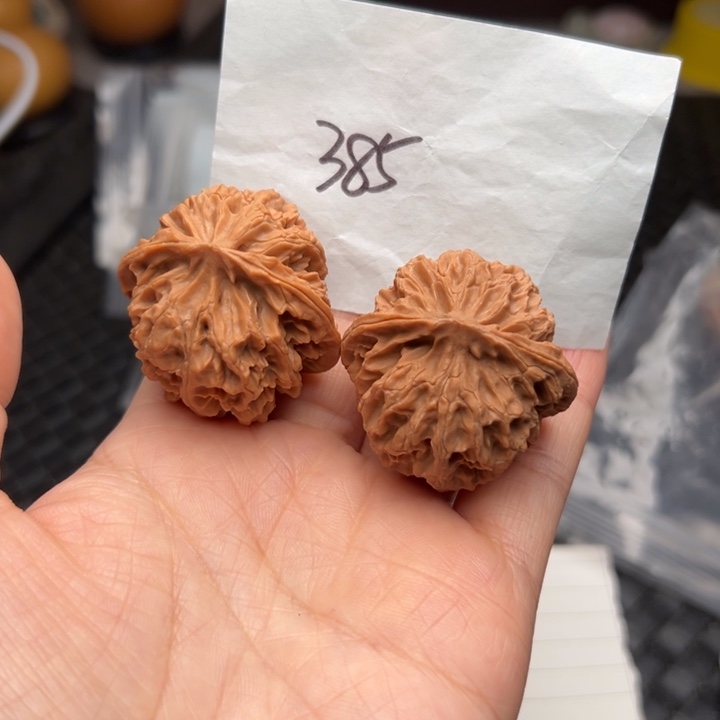 核桃39尺寸苹果园