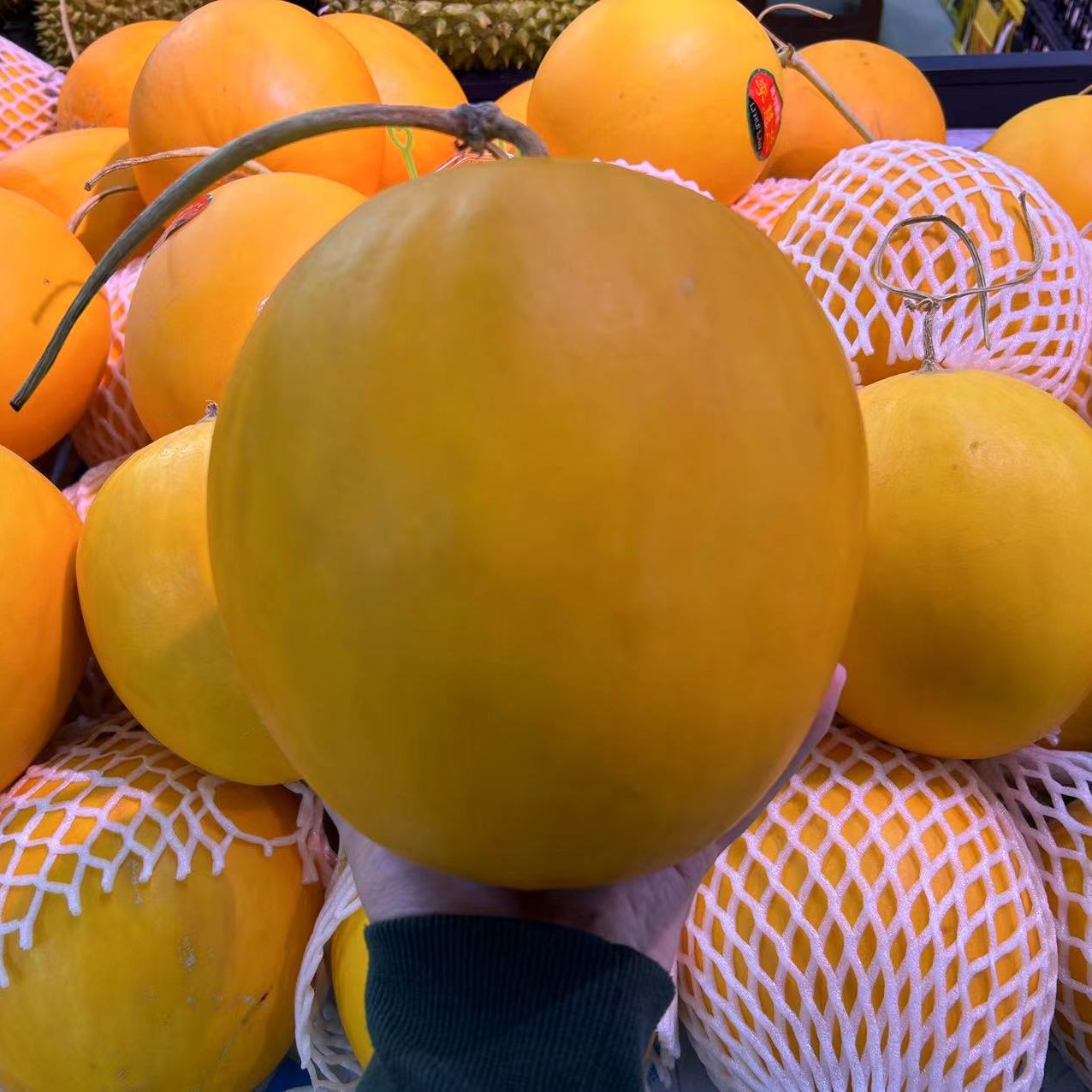 四粒黄瓜 哈密瓜g（水果）