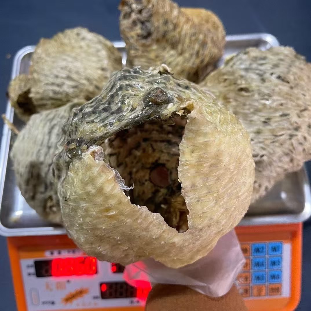 现称现售（临时改价链接）无刺刺龟鱼皮干|渔民传统晾晒|煲汤食材|