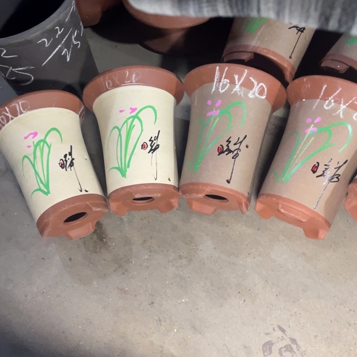 只是自作自受啧啧啧啧  