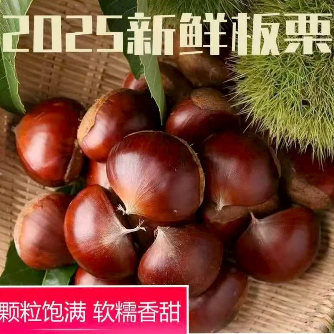 买三送二斤/丹东板栗新货高山q老树软糯炖鸡非锥栗难剥皮送栗爪