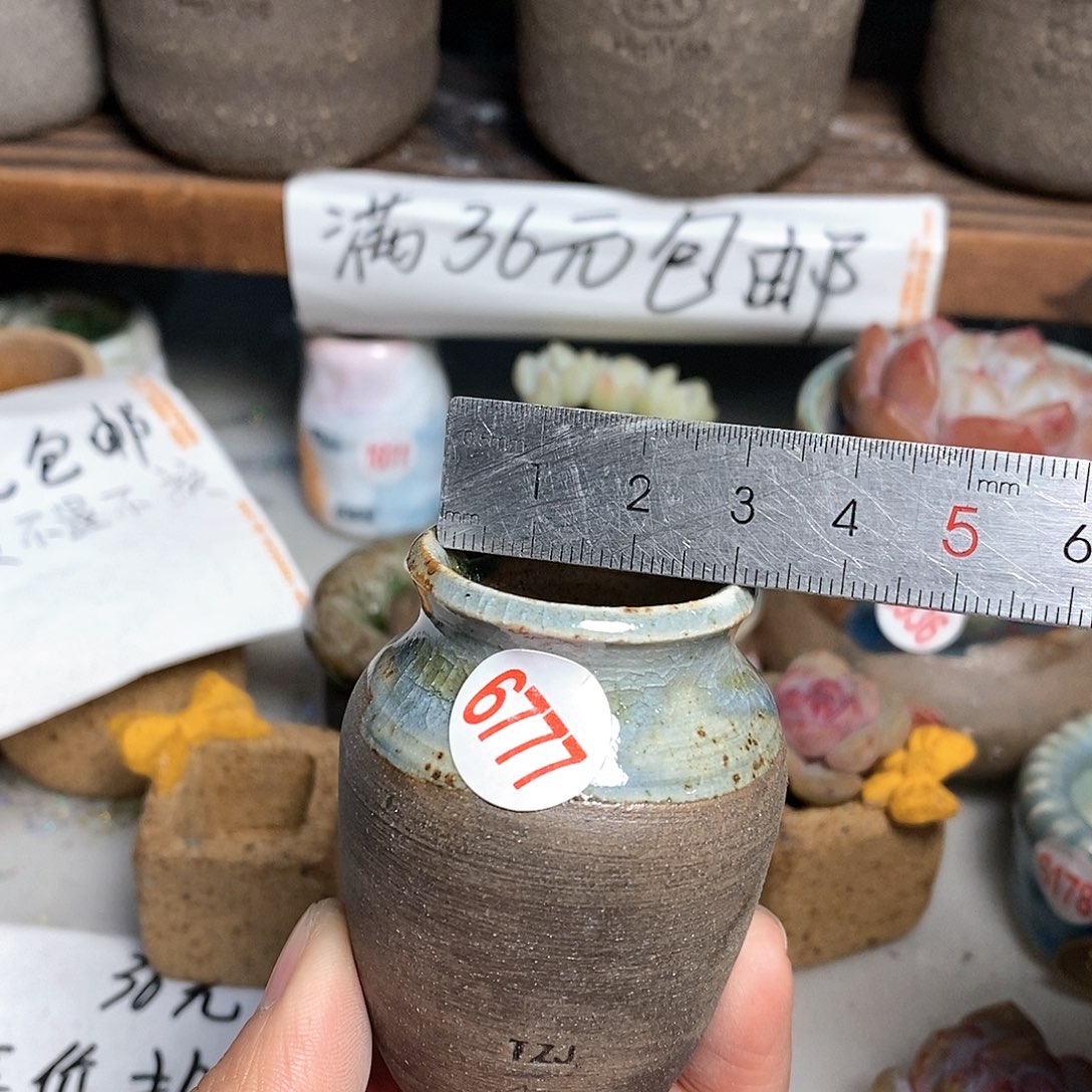 红陶拍5送一个小