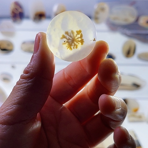 【闪购商品】玛瑙/玉髓珠宝半成品未镶嵌