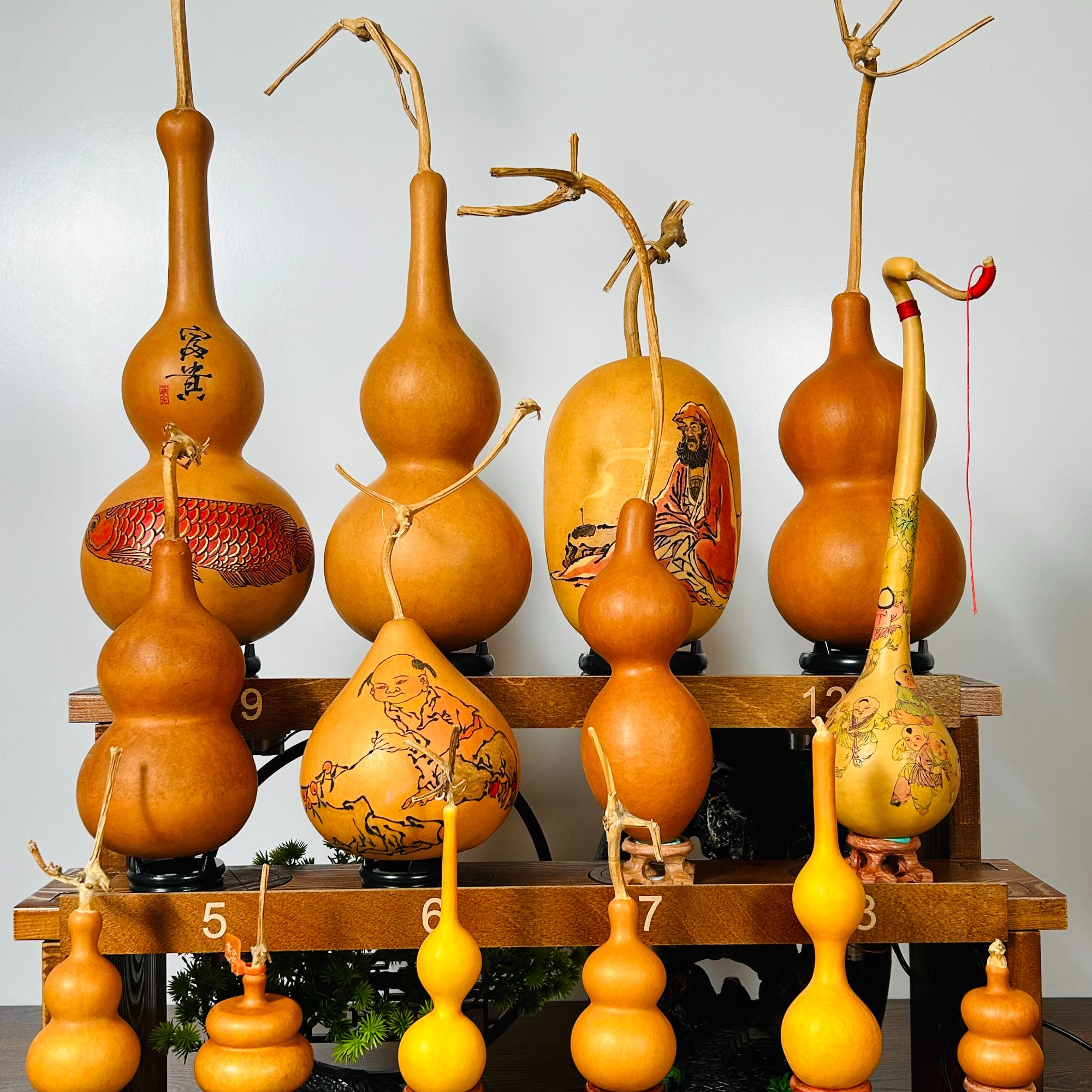 葫芦直播间专属链接01