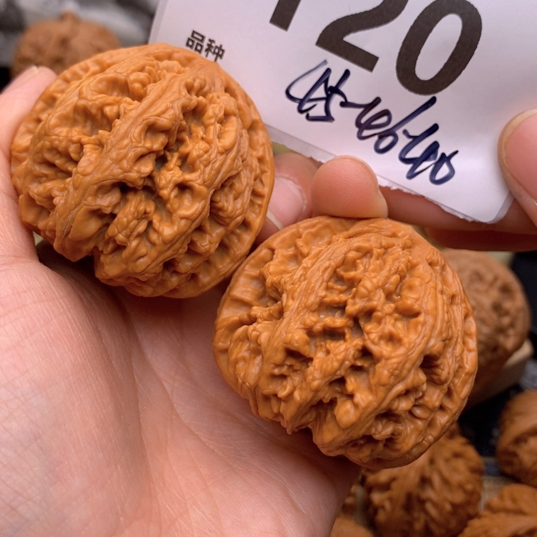 文玩核桃把件120号45-46粗筋