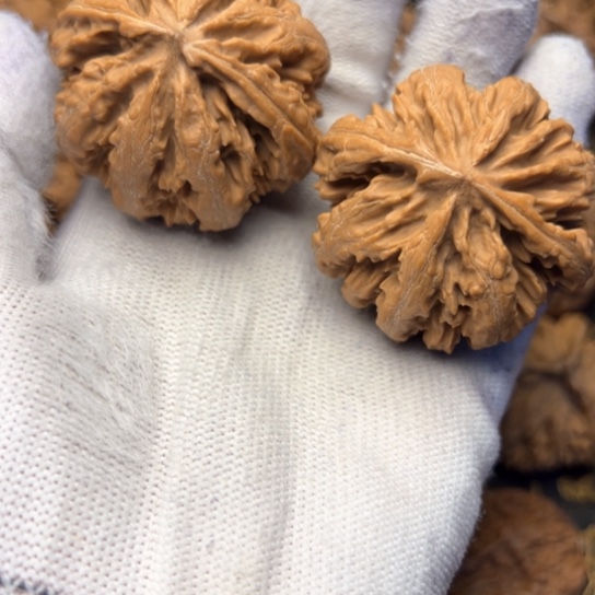 何****文玩核桃吊坠秦岭核桃12