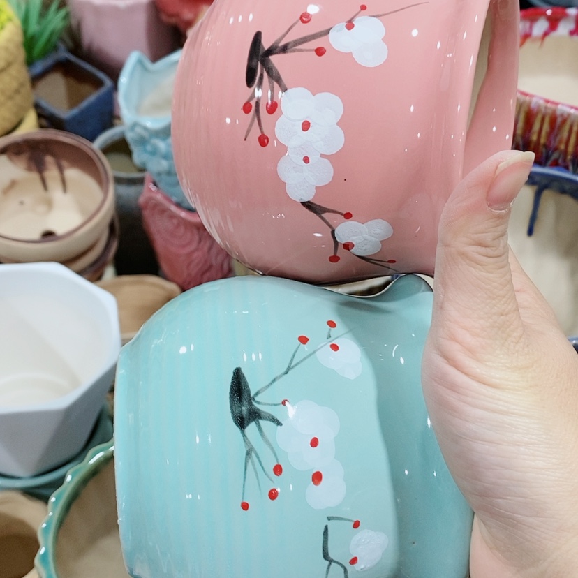 【闪购商品】红陶陶瓷多肉花盆