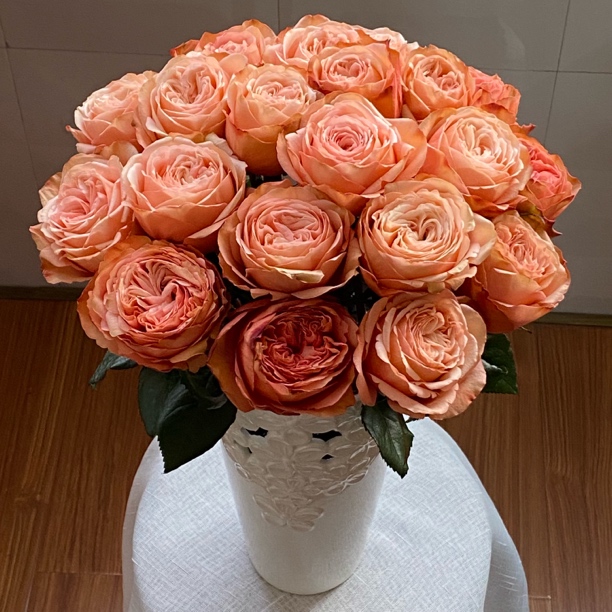 卡哈拉奥斯汀花型玫瑰鲜切花高级复古色云南品牌基地直发顺丰包邮