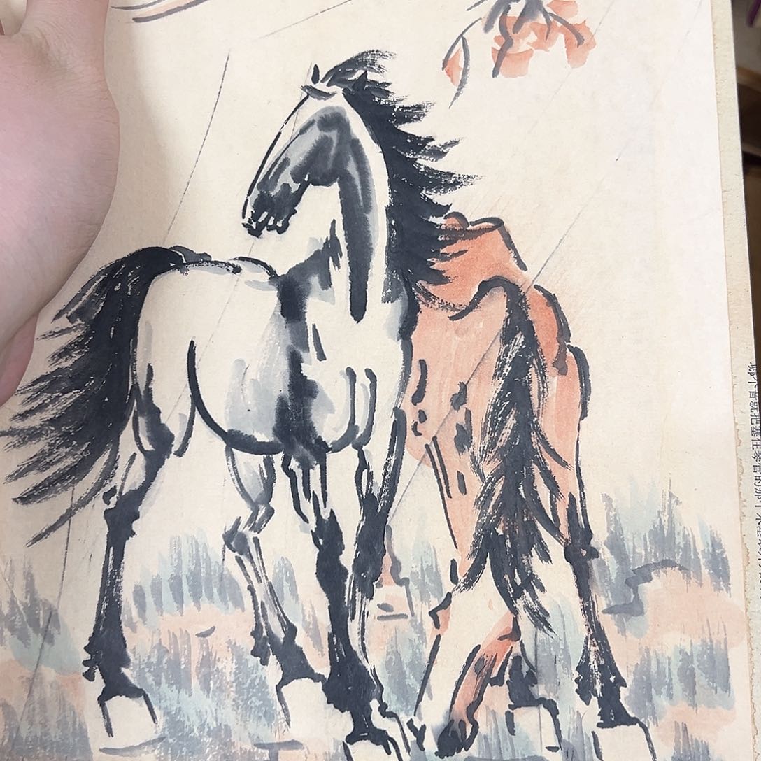 南***开看到你的吧看绝对的吧