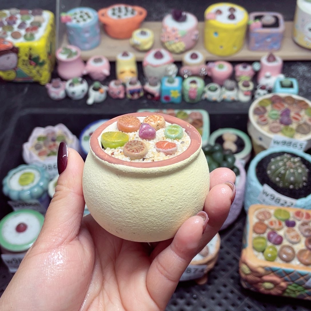 w9875 带盆土发货-零下地区拍保温箱