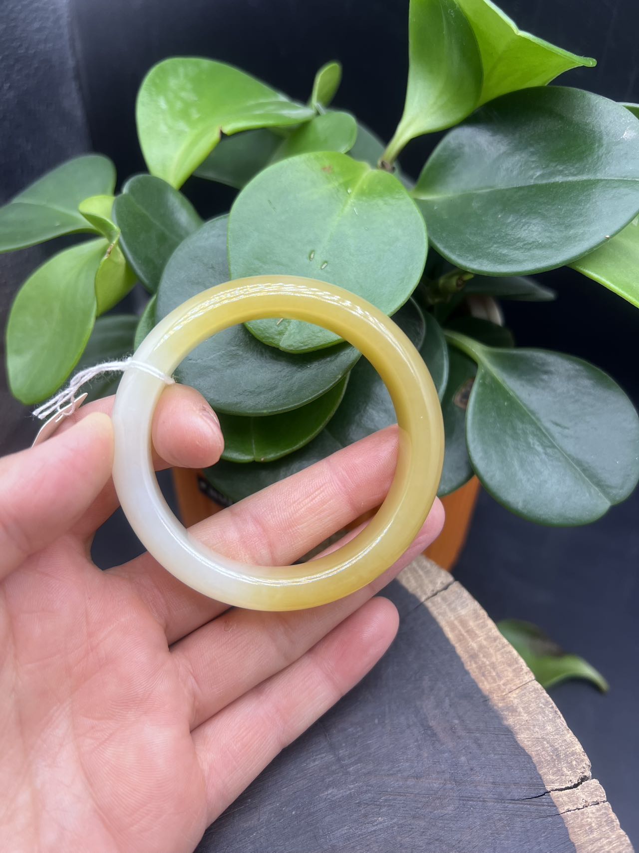 新疆和田玉金山糖白51+圈口手镯