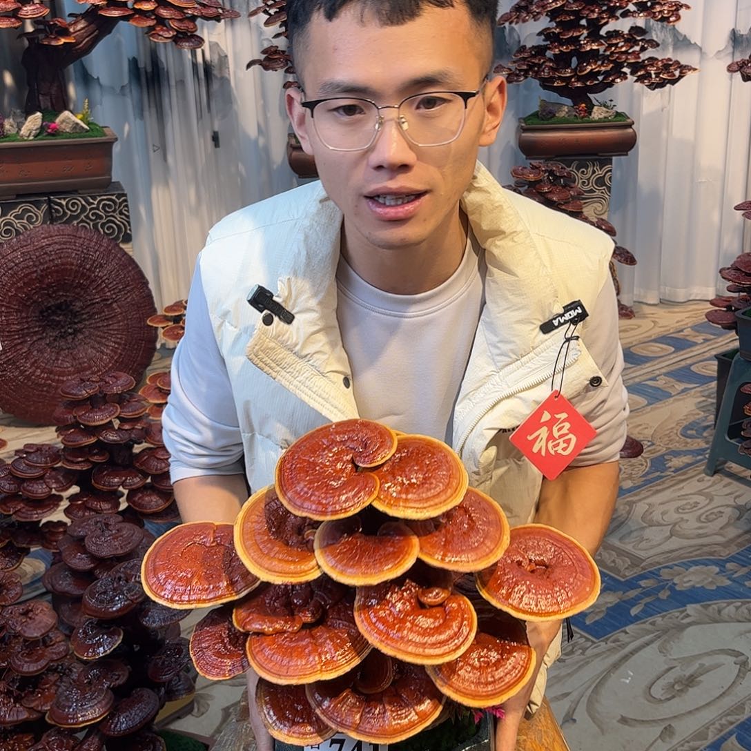 无花朵88888888888