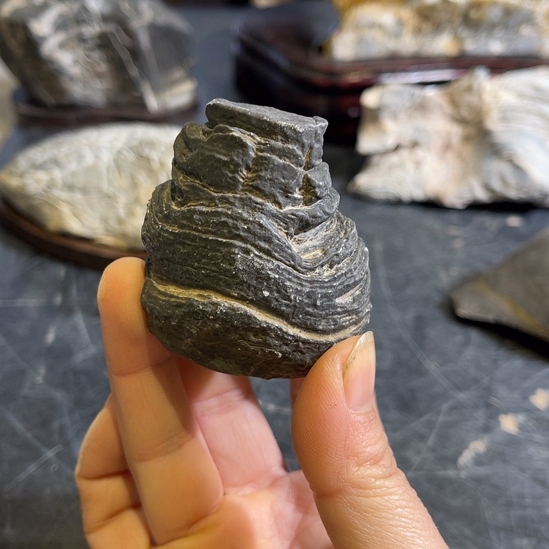 紫砂我也不知道自己为什么想