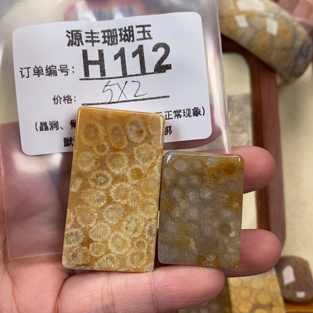 硅化玉颈饰未镶嵌三***.